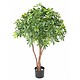 umetno drevo Šeflera z UV zaščito Bonsai