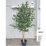 umetno drevo - umetna breza 260 cm