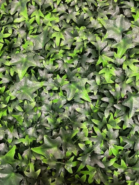 Bršljan panel - zelene stene - zeleni zid