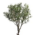 Umetna oljka Kreta - umjetna maslina 200 cm - Artificial olive tree fake Bonsai Trzin