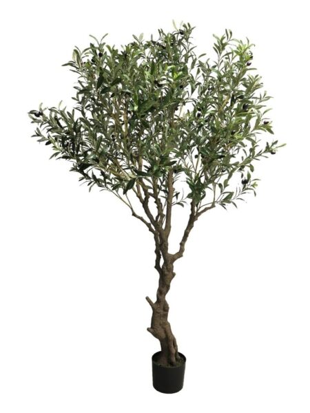 Umetna oljka Kreta - umjetna maslina 200 cm - Artificial olive tree fake Bonsai Trzin
