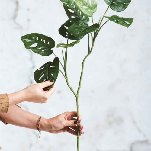 Umetne monstere by Bonsai