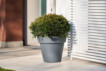 cvetlični lonci - okrasni lonec Gigantus 80 temno siva