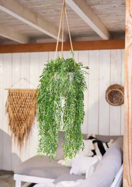 umetna plezalka bambus z UV zaščito(1)