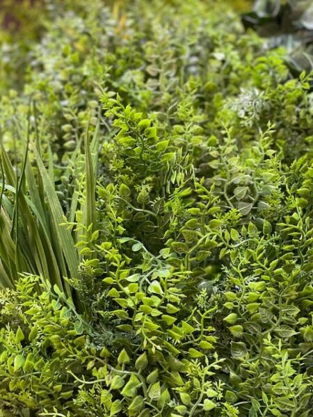 zelena stena New York