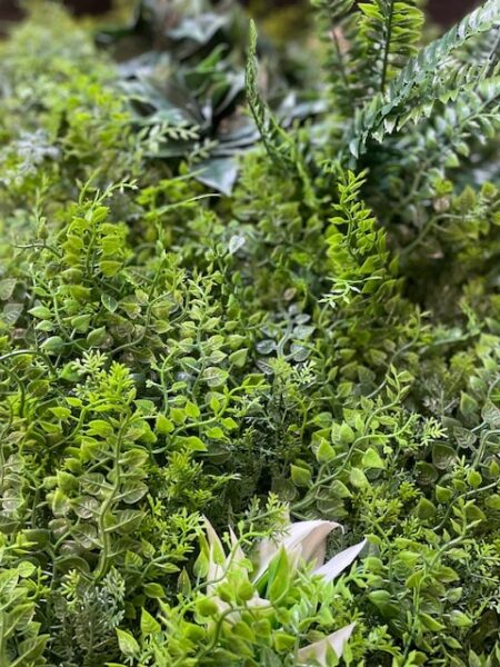 zelene stene New York