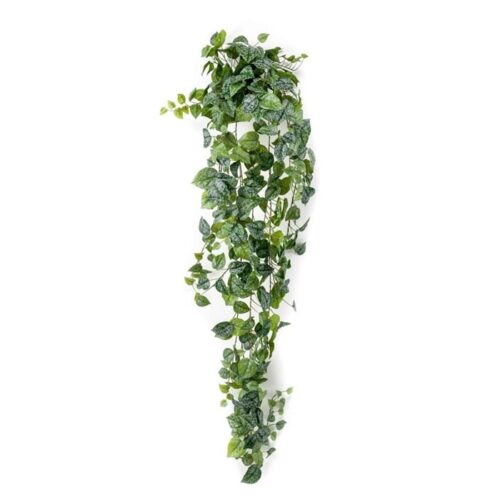 Umetna plezalka Skindapsus 180 cm