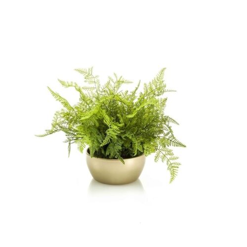 Umetna praprot 40 v okrasnem loncu