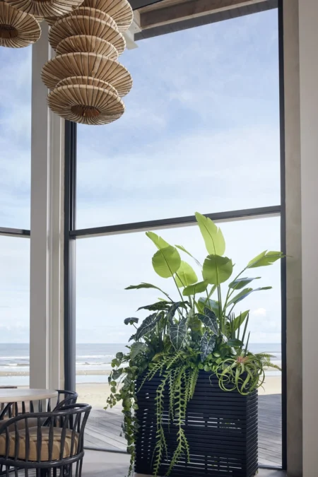 Umetne rastline v cvetličnem koritu - Strelitzia