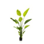 Umetna Strelicija 150 cm