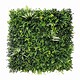 Zelena stena Melbourne 100 x 100 cm