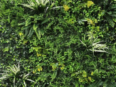 Zelena stena Melbourne listje 100 x 100 cm