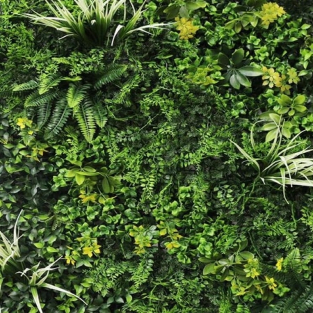 Zelena stena Melbourne listje 100 x 100 cm