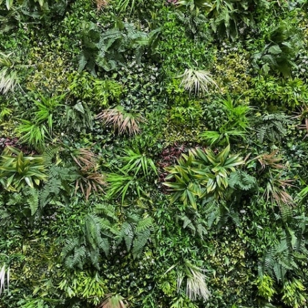 Zelena stena 100 x 100 cm Tokyo