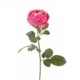 Umetna vrtnica Carla 70 cm roza