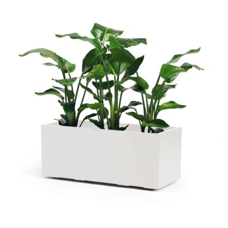 cvetlično korito 100 40 40 bele barve