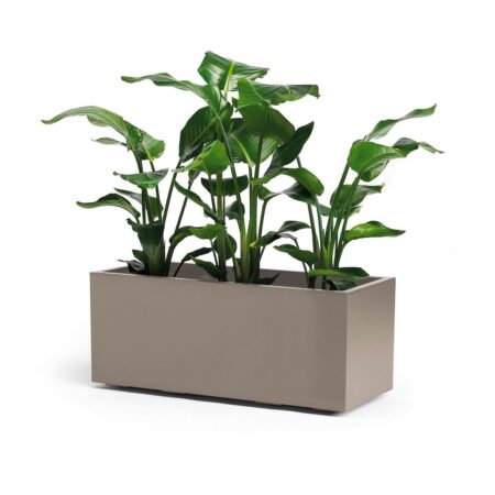 cvetlično korito Nature 100 40 40 kapučino barve