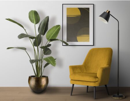 strelicija-230cm-v-loncku-BONSAI