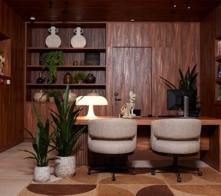 Umetne sansevierije sanseverija