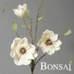 Magnolija veja bela 90 cm