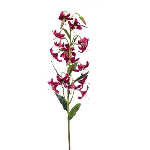Lilija veja temno rdeča 80 cm