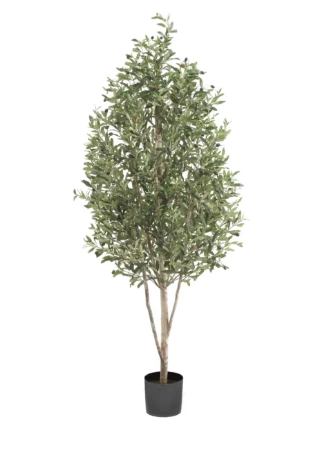 Umetna oljka na naravnem steblu 170 cm