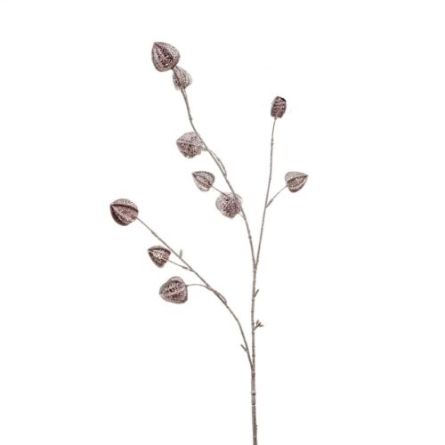 Umetna veja Physalis 80cm volcje jabolko