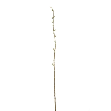 Umetna veja cvetni popki zelena 105cm