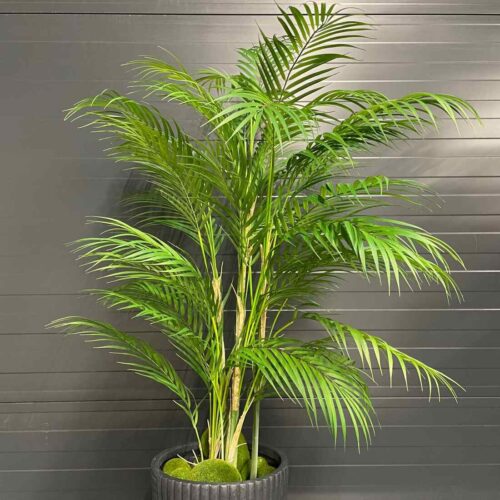 umetne palme kot prave - BONSAI Trzin(1)