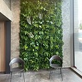 Zelene stene Miami z dodatnimi rastlinami