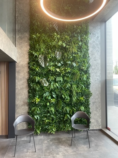 Zelene stene Miami z dodatnimi rastlinami