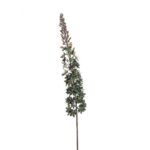 Umetni Eremurus zeleno zlat