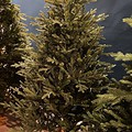 Umetno božično drevo Nature - novoletna jelka