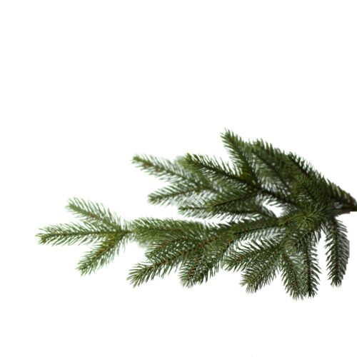 Novoletna jelka Davos 228 cm 100% PE