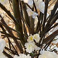 umetno cvetoče drevo - cvetna drevesa Bonsai