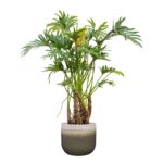 Cvetlični lonec Tara forest D29H25 2