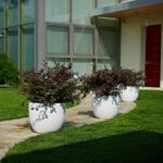 Okrasni lonec za rože 54 cm bele barve Aria