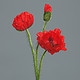 Mak 3 cvetovi 48 cm rdeče barve - 600541