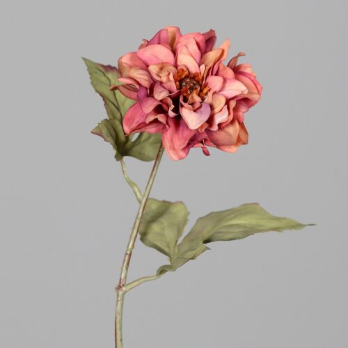 Umetna Dalija suhi videz peach 43 cm 600772