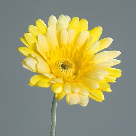 Umetna gerbera rumena 56 cm - umetno cvetje Bonsai
