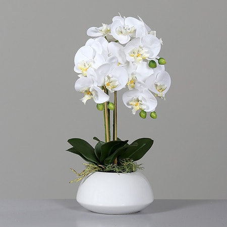 Umetna orhideja bele barve 50 cm v belem lončku 600780