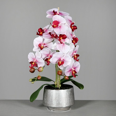 Umetna orhideja beloroza 60cm v srebrnem lončku 600779