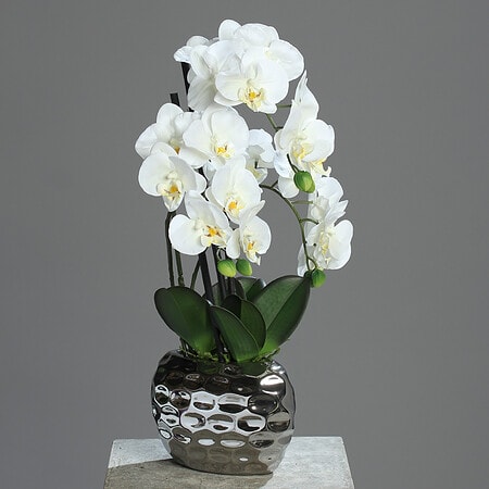 Umetna orhideja krem 50 v srebrnem lončku 600776
