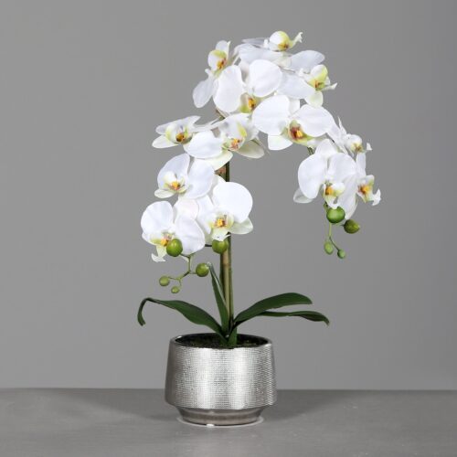 Umetna orhideja krem roza barve 60cm v srebrnem lončku 600777