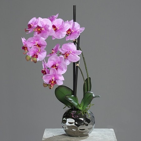 umetna orhideja - orhideje - umetno cvetje - umjetno cvijeće Bonsai - phalaenopsis real touch