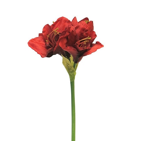 Amarilis 63 cm rdeče barve