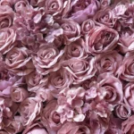 Cvetni panel 50x50 cm Valentino light pink