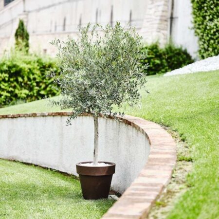 Okrasni lonec - ukrasnategla žardinjera Gigantus