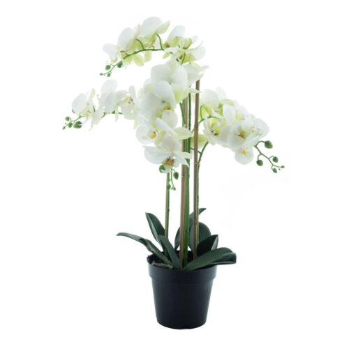 Orhideja RT 60cm v lončku bela barva