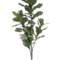 Umetna Lyrata Ficus 150 cm